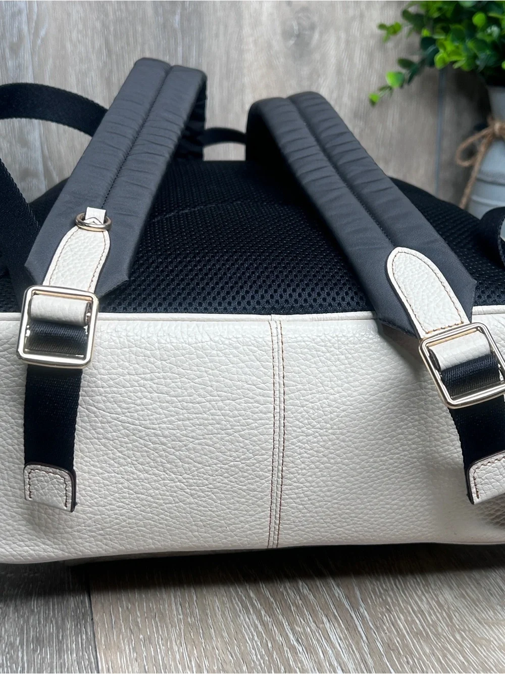 Coach Signature Canvas Tiger Backpack • Limited Edition Print • Beige & White